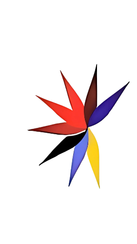 Shahaan International Logo